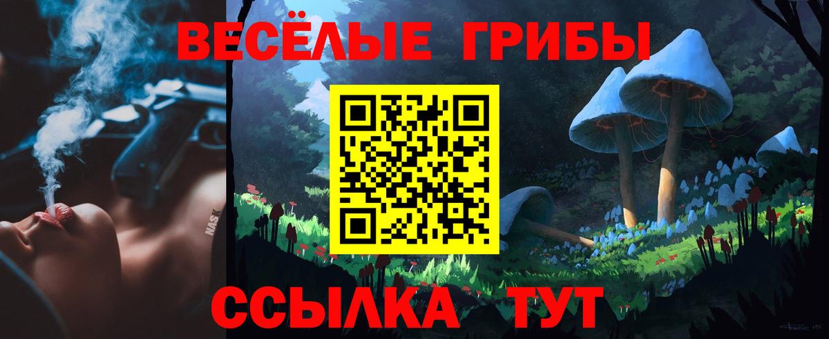 Псилоцибиновые грибы мухоморы Азов